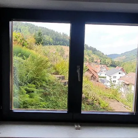 Feriendomizil Zwischen Badeb-baden - Offenburg Lejlighed