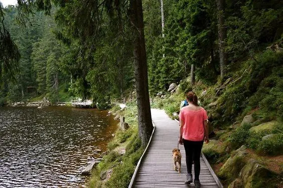 شقة Feriendomizil Zwischen Badeb-baden - Offenburg *